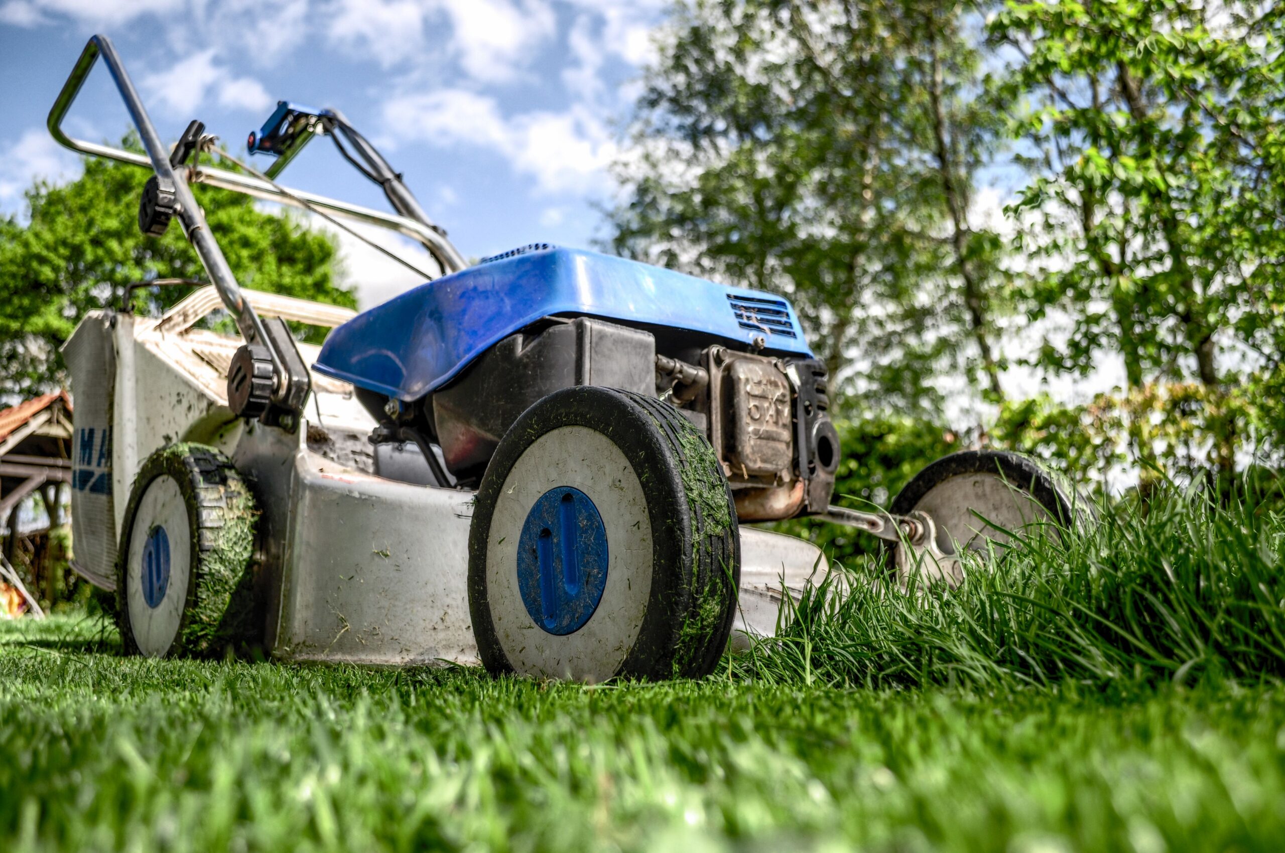 property maintenance